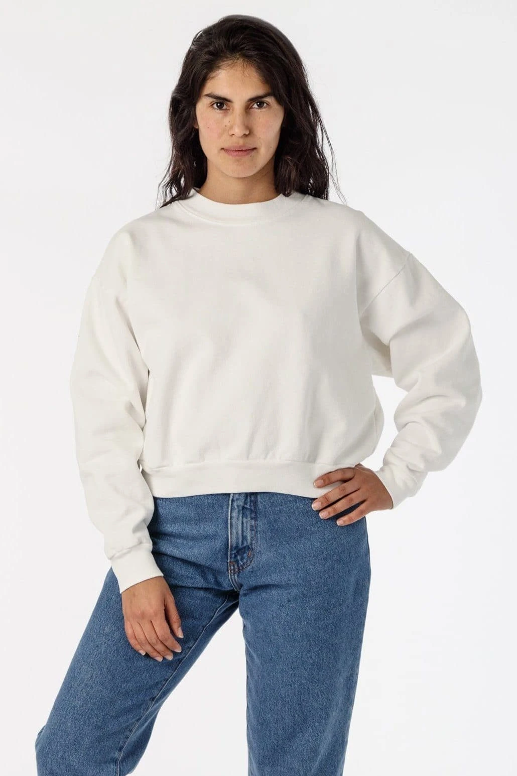 HF06 - Heavy Fleece Cropped Mock Neck Pullover (Garment Dye) 20 HF06 - Heavy Fleece Cropped Mock Neck Pullover (Garment Dye) - Image 20