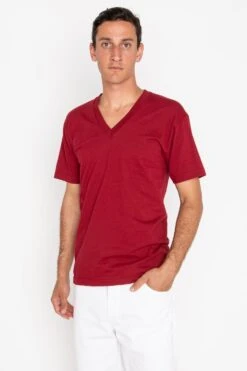 24056 Mix - Fine Jersey V-Neck T-Shirt -Tops Zone cranberry